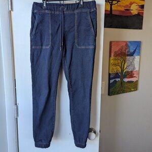 BEVY FLOG Skinny Jogger Jeggings Pants Size 28